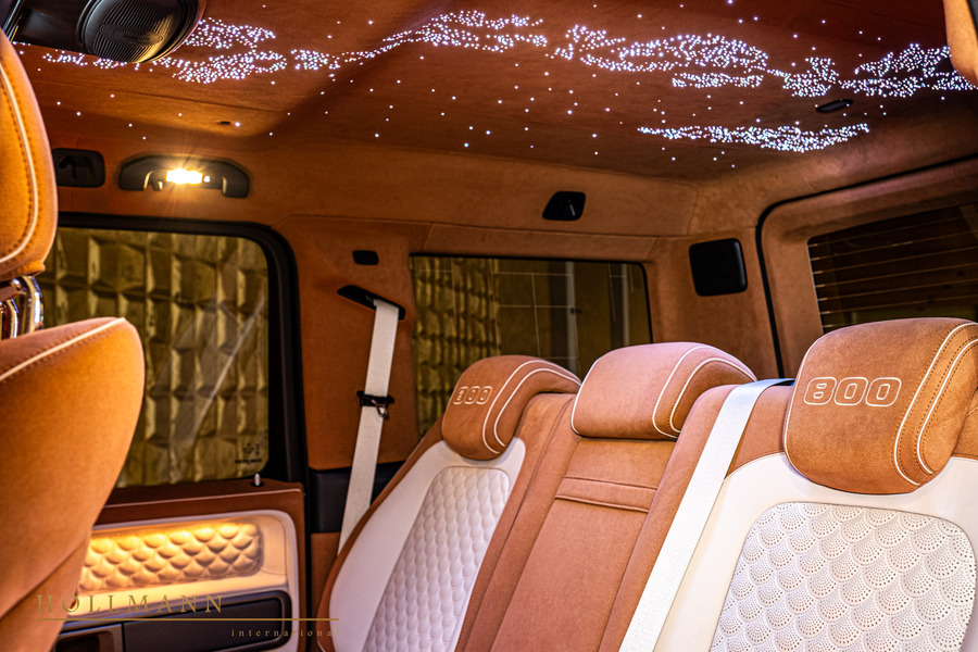 Vehicle view 13