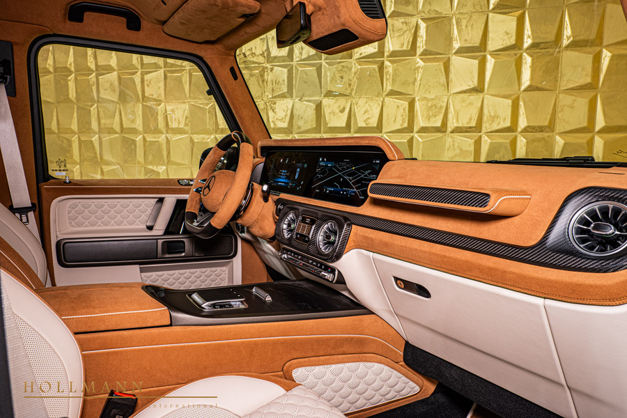 Vehicle view 31