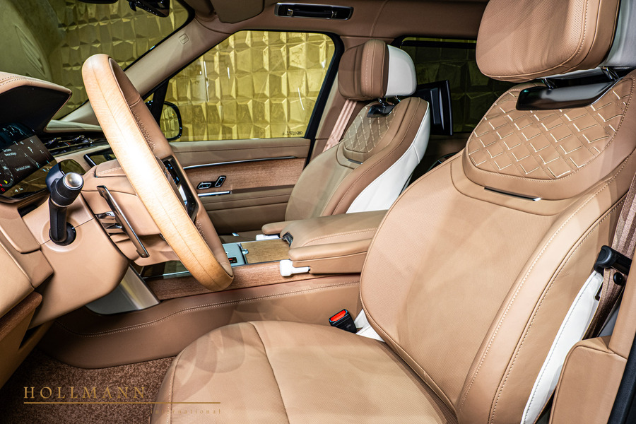 Vehicle view 17