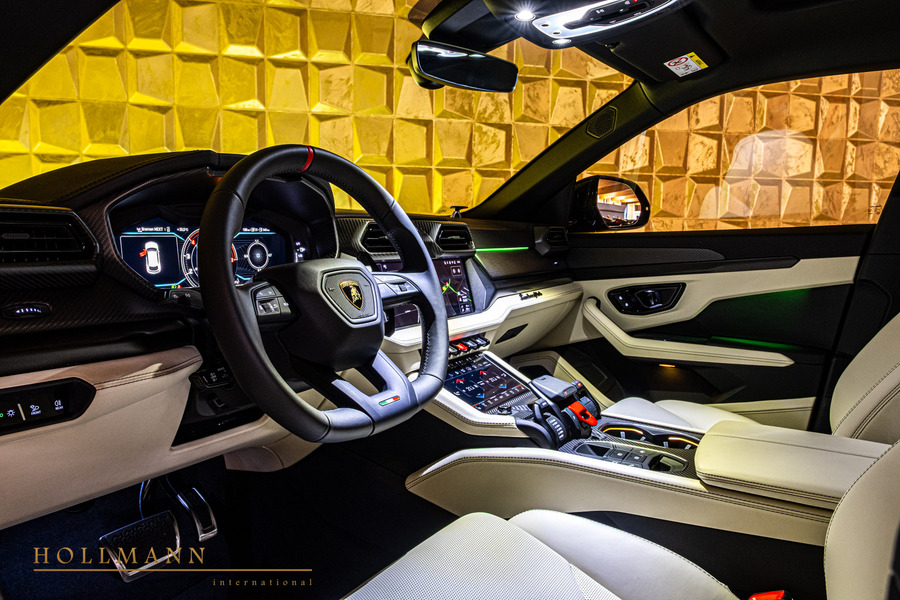 Vehicle view 13