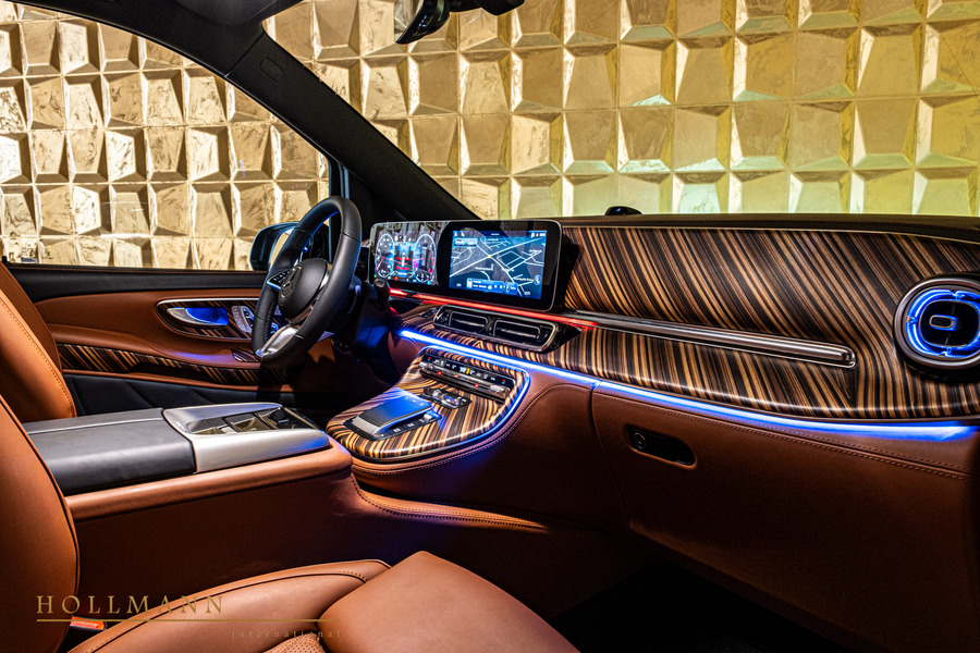 Vehicle view 10