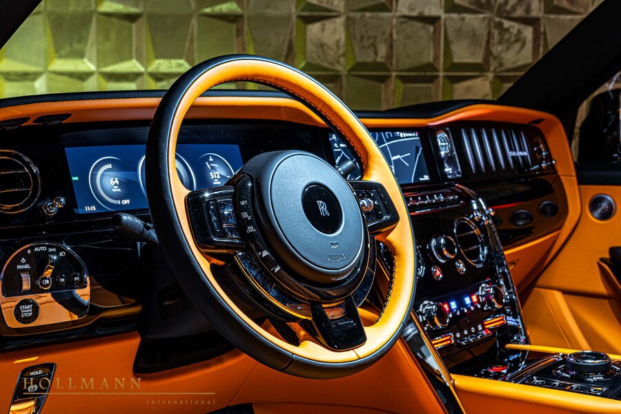 Vehicle view 11