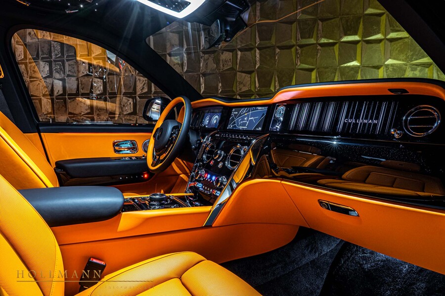 Vehicle view 13