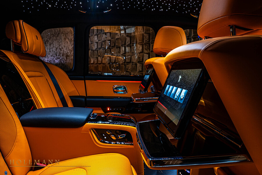Vehicle view 17