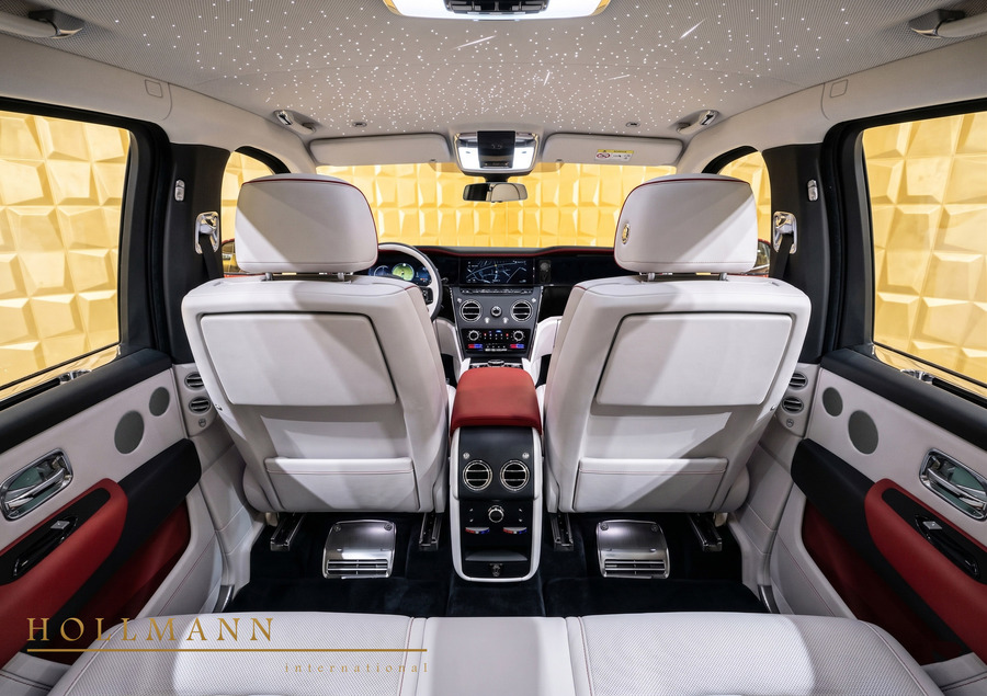 Vehicle view 8