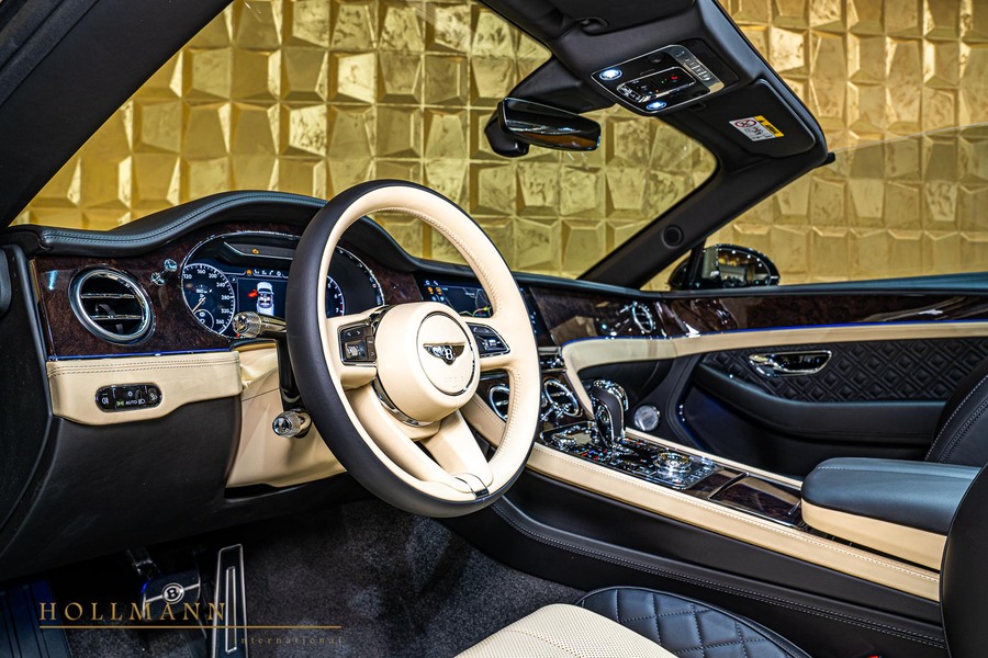 Vehicle view 13