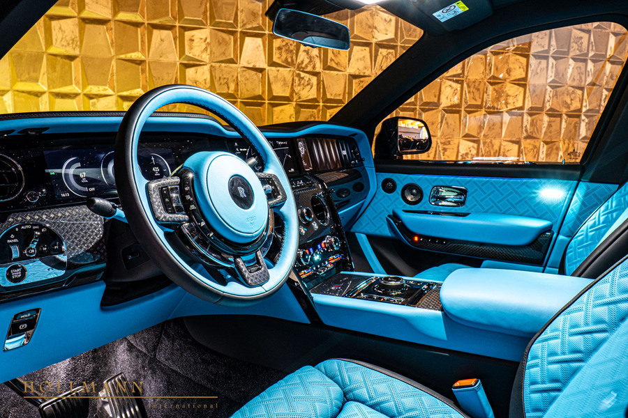 Vehicle view 15