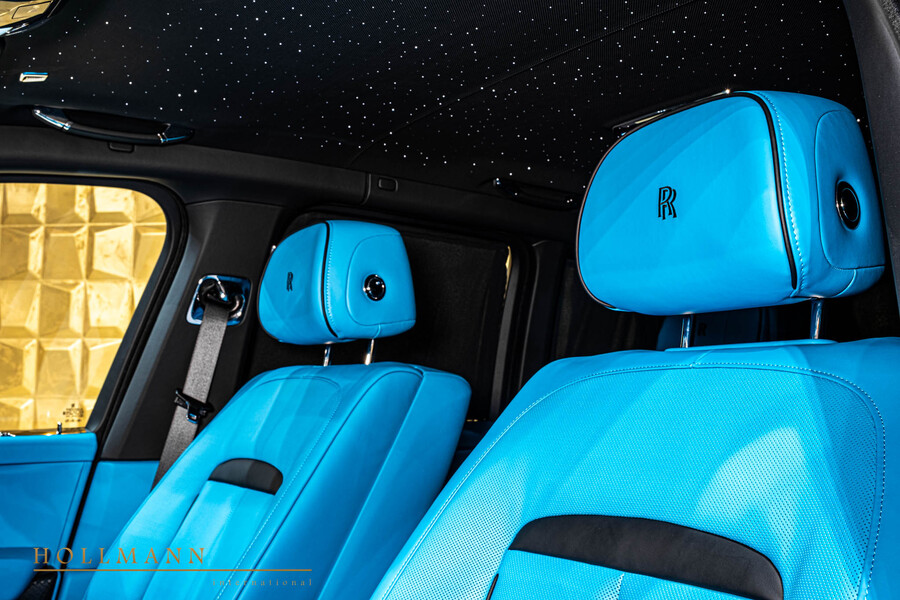Vehicle view 12