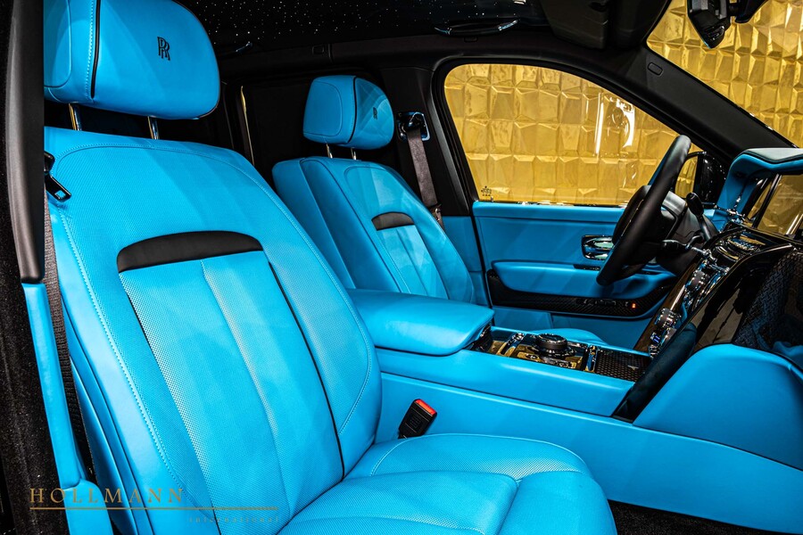 Vehicle view 13