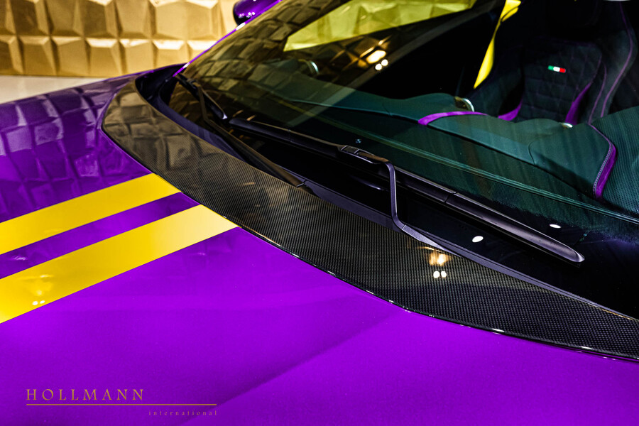 Vehicle view 8
