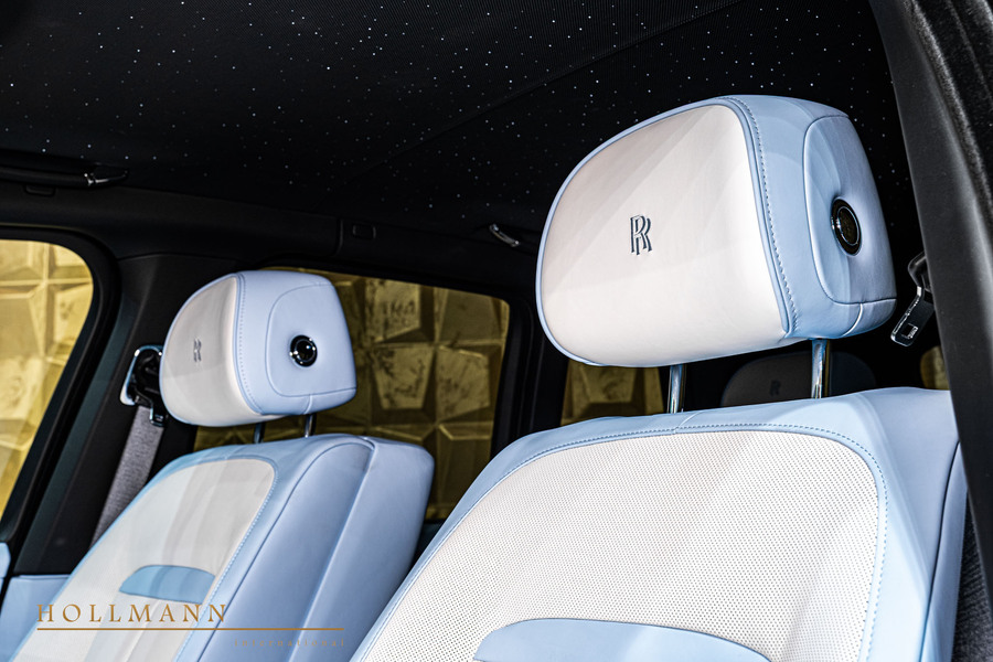 Vehicle view 10