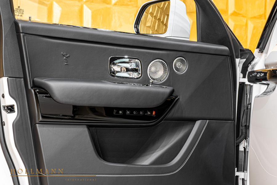 Vehicle view 10
