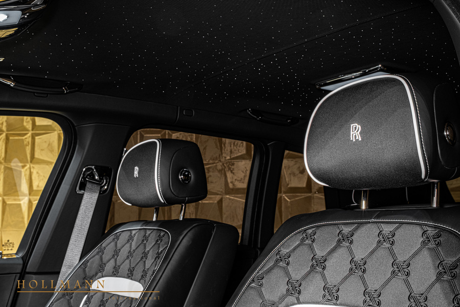 Vehicle view 16