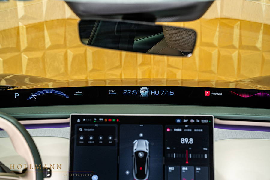 Vehicle view 29