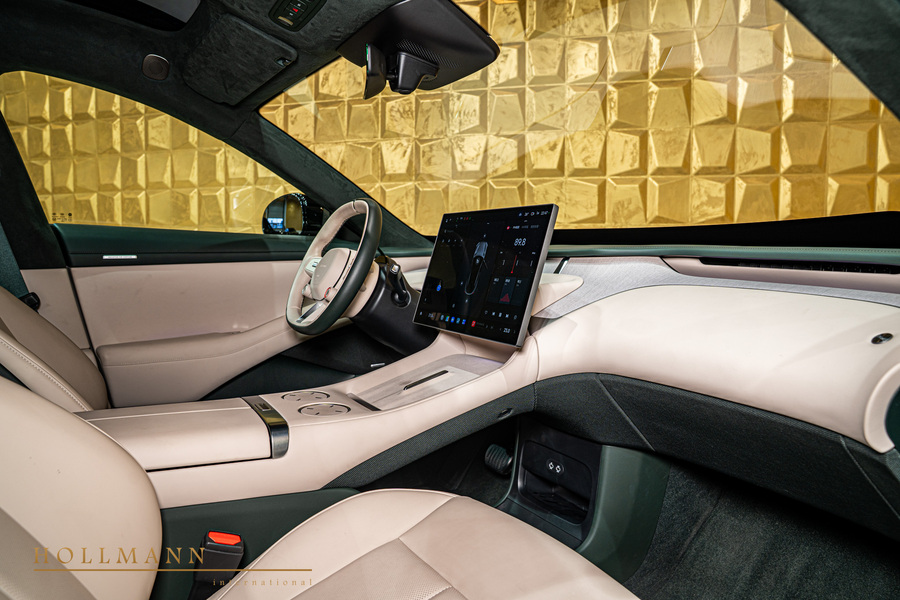 Vehicle view 31