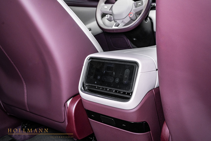 Vehicle view 33