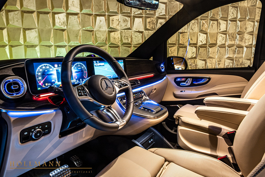 Vehicle view 11