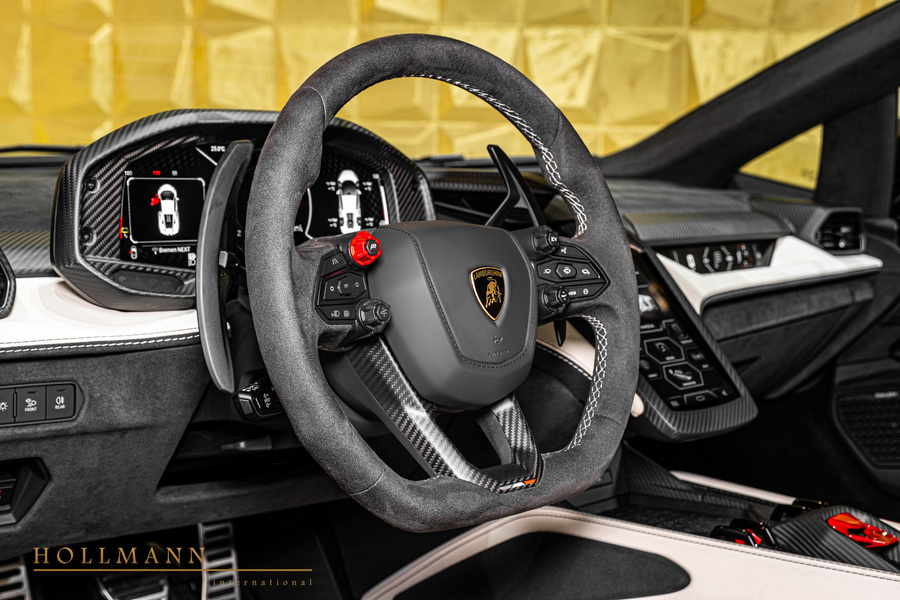 Vehicle view 13