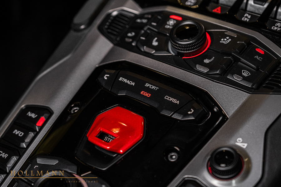 Vehicle view 21