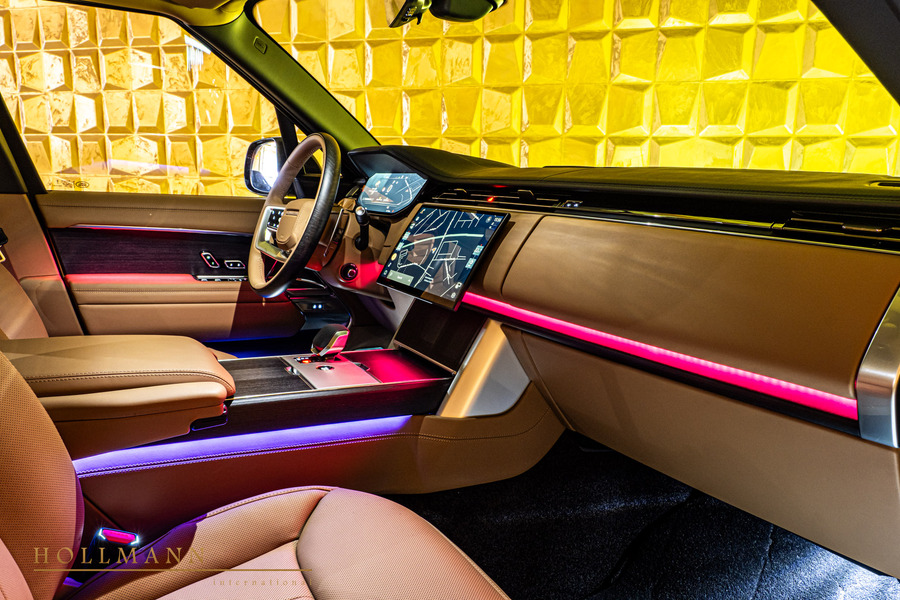 Vehicle view 19