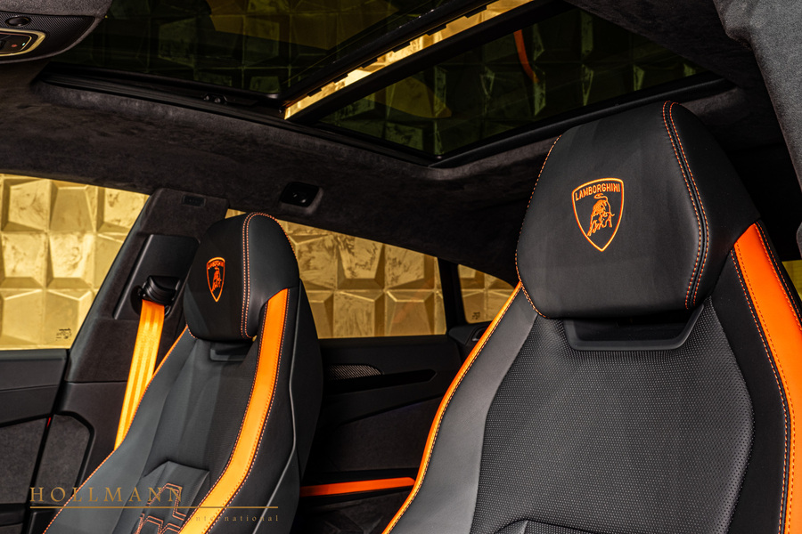 Vehicle view 17