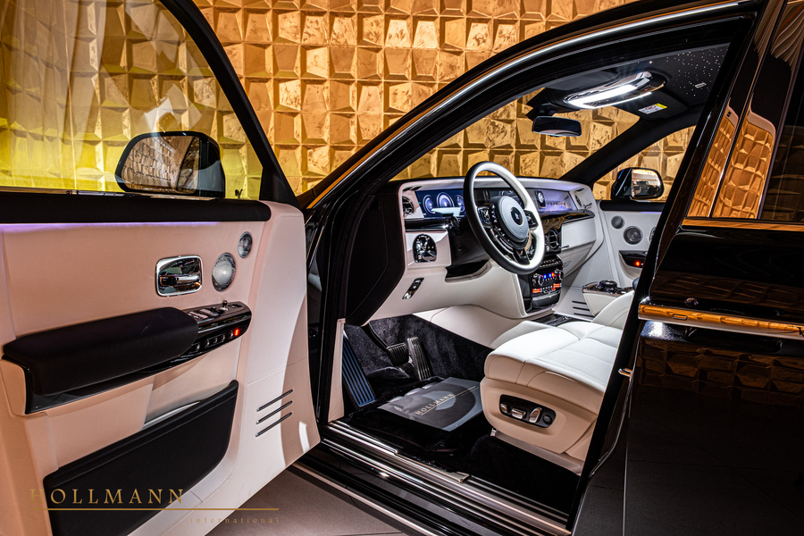 Vehicle view 10