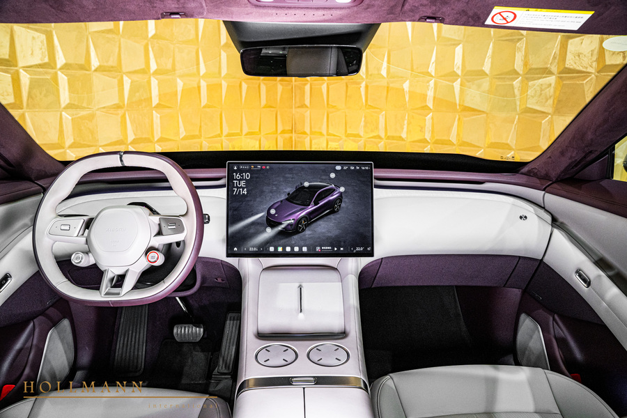 Vehicle view 31