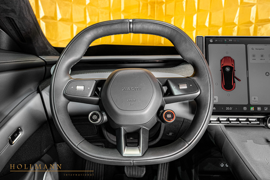 Vehicle view 29