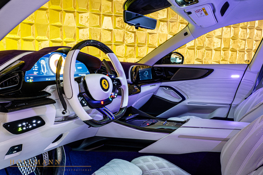 Vehicle view 13