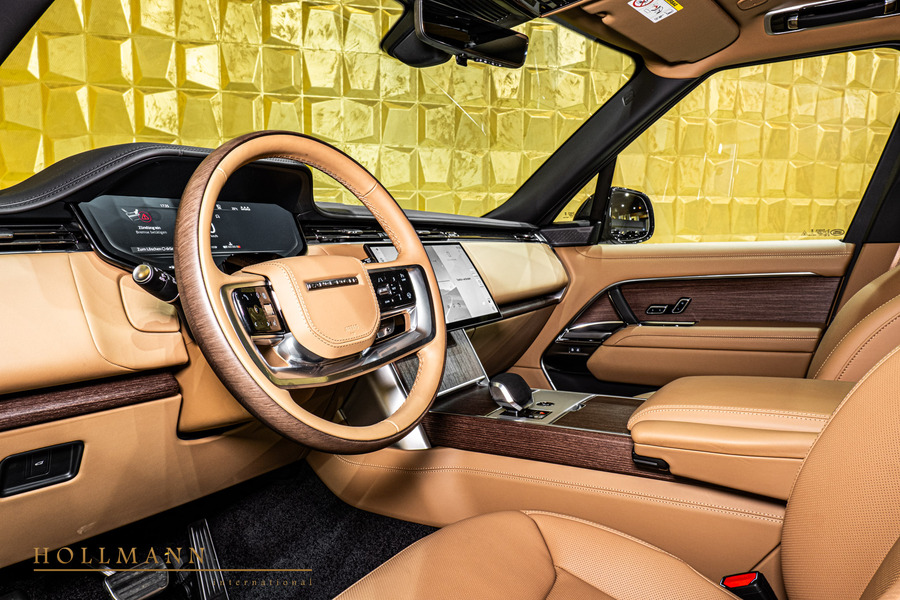 Vehicle view 11