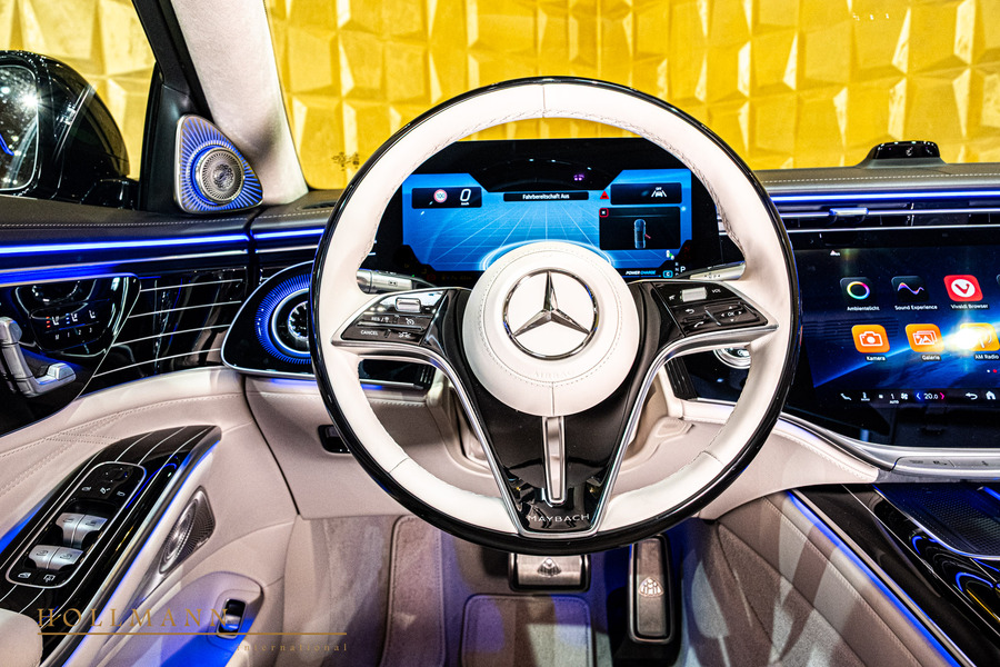 Vehicle view 31