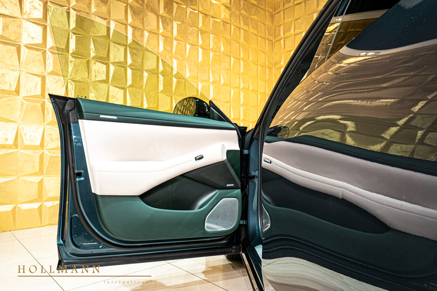 Vehicle view 11