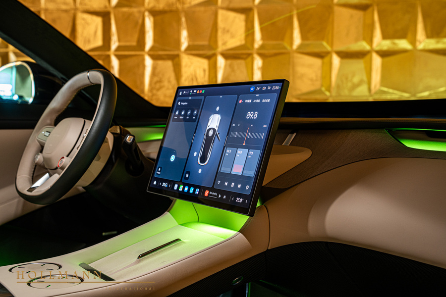 Vehicle view 19