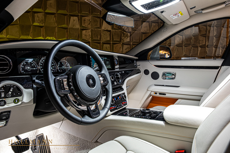 Vehicle view 11