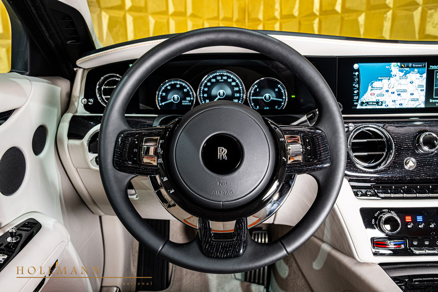 Vehicle view 13