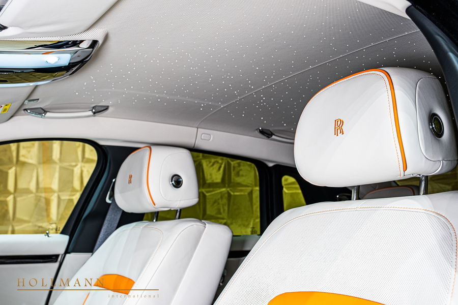 Vehicle view 17