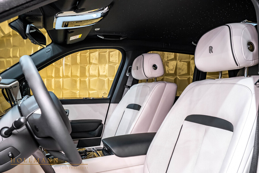 Vehicle view 10