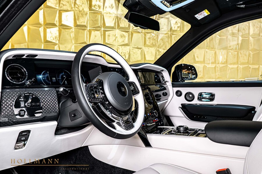 Vehicle view 11