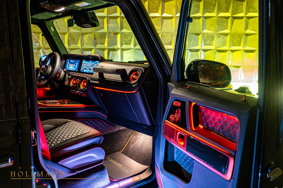 Vehicle view 33
