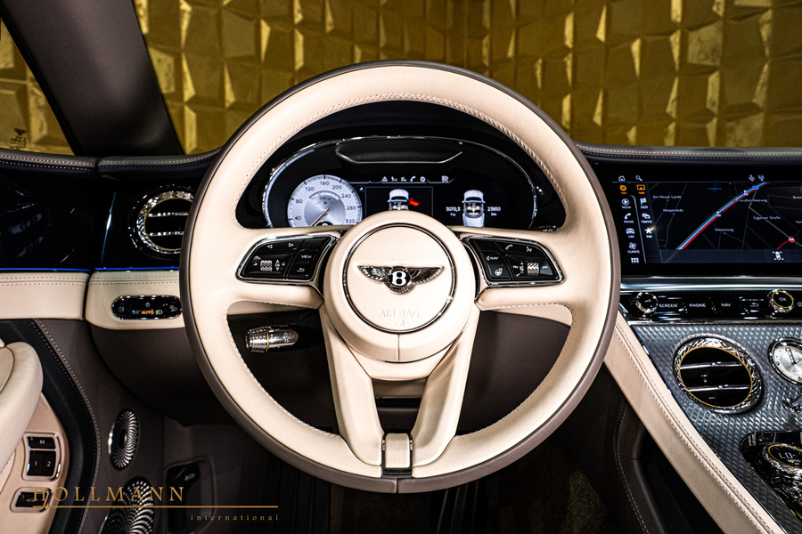 Vehicle view 19