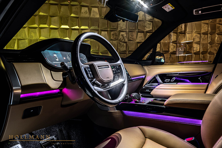 Vehicle view 13