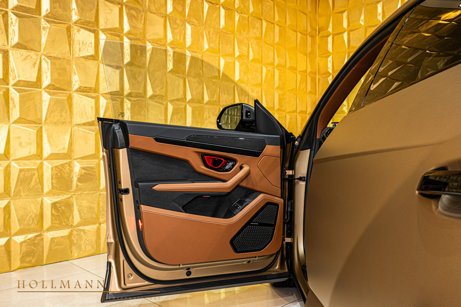 Vehicle view 21